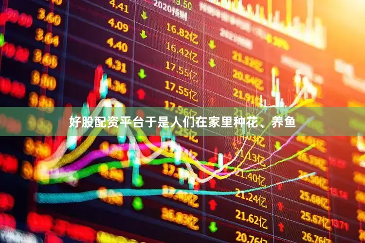 好股配资平台于是人们在家里种花、养鱼