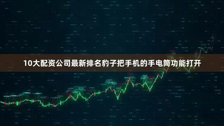 10大配资公司最新排名豹子把手机的手电筒功能打开