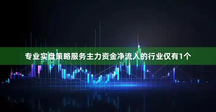 专业实盘策略服务主力资金净流入的行业仅有1个