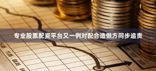 专业股票配资平台又一例对配合造假方同步追责