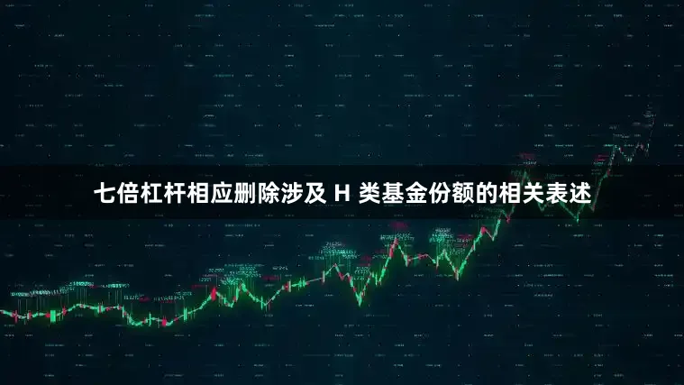 七倍杠杆相应删除涉及 H 类基金份额的相关表述