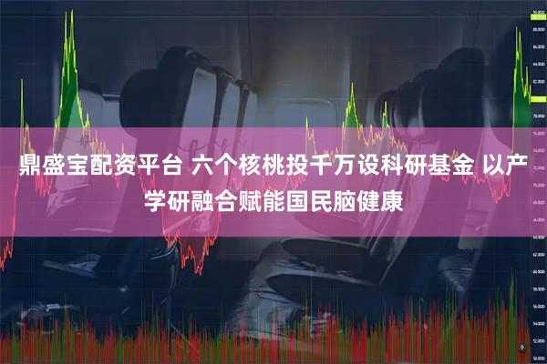 鼎盛宝配资平台 六个核桃投千万设科研基金 以产学研融合赋能国民脑健康